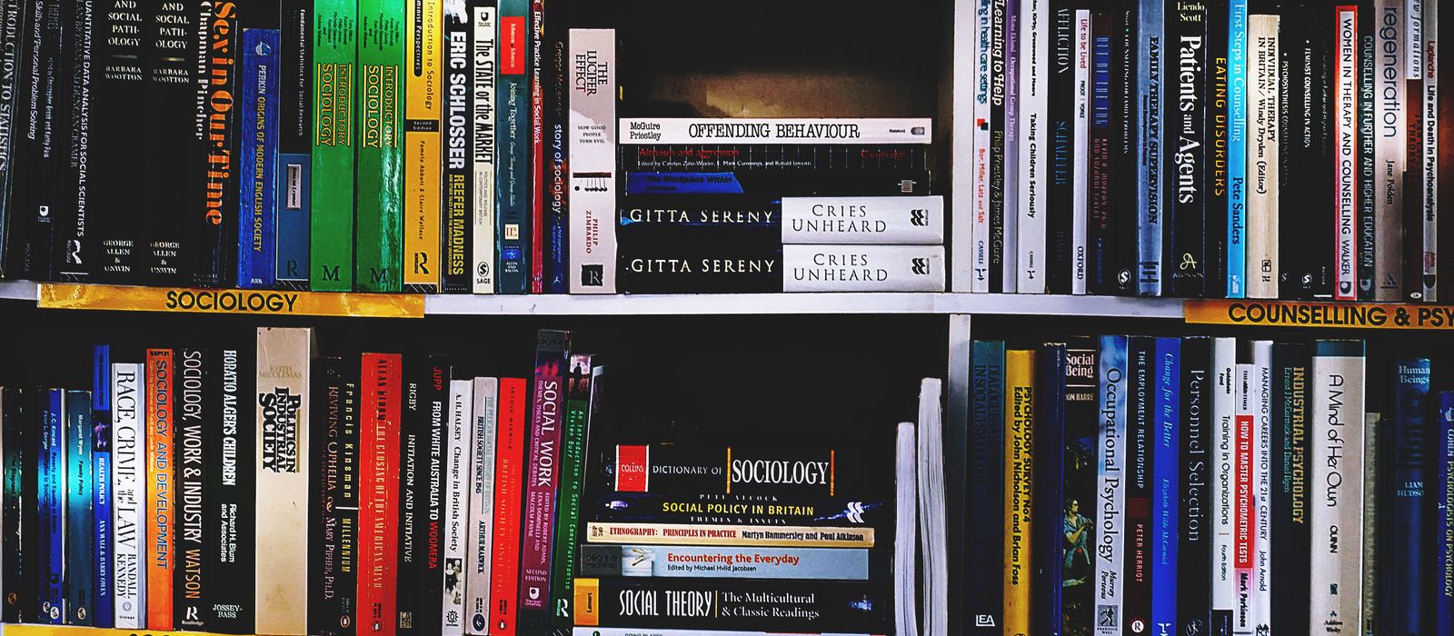 Shelves packed with books across many genres in a well-stocked library