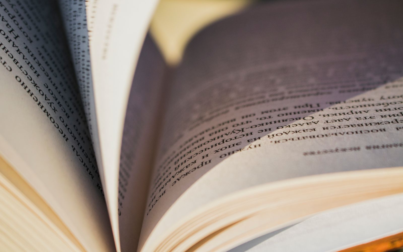 An open book resting on a desk, its pages lit by warm daylight